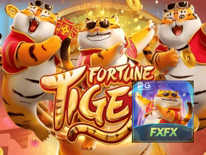 Guia install APK FXFX BET BR
